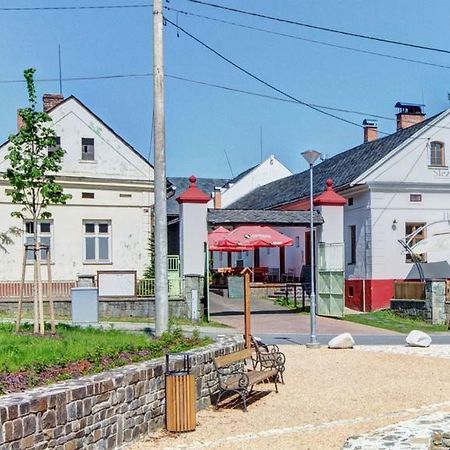 Slezsky Grunt Hotel Háj ve Slezsku Екстериор снимка